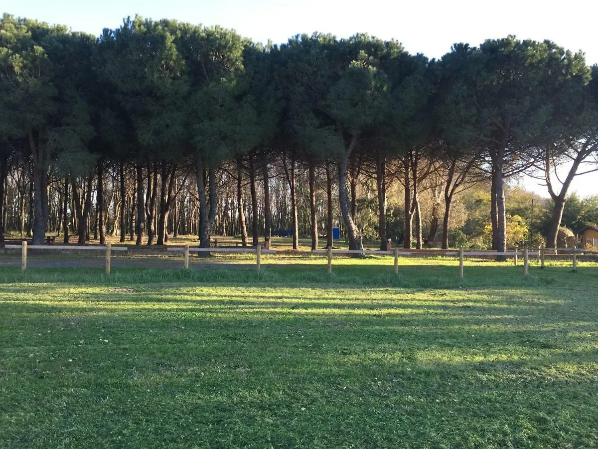Podere La Grande Quercia Apartment Rosignano Marittimo 0*,  Italy