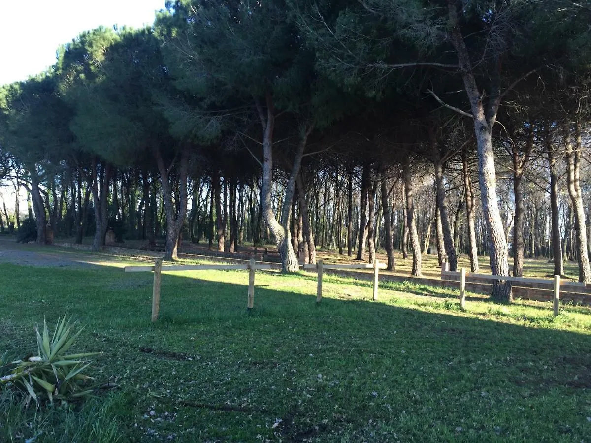 Podere La Grande Quercia Lägenhet Rosignano Marittimo